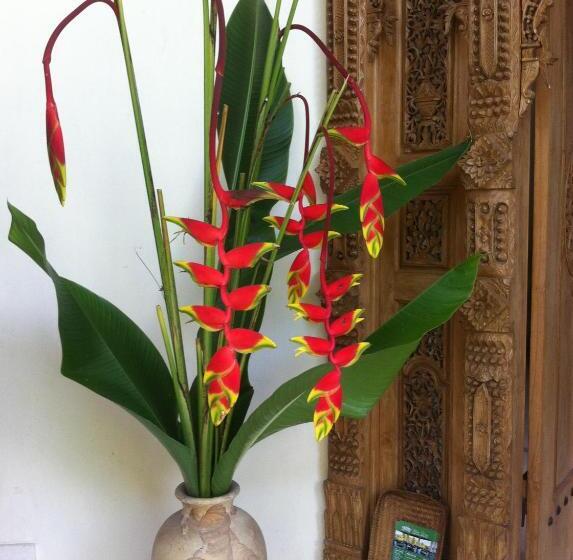 Pansiyon White Lotus Oasis