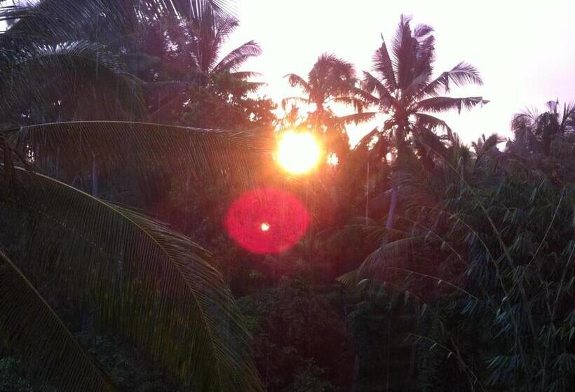 Pensionat White Lotus Oasis