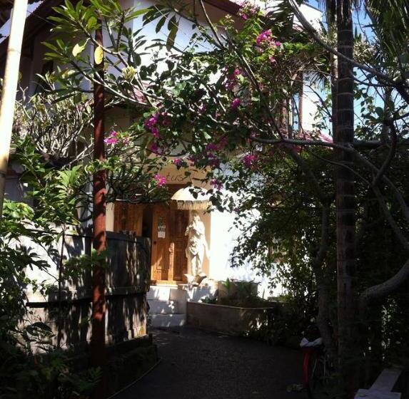 Pensionat White Lotus Oasis