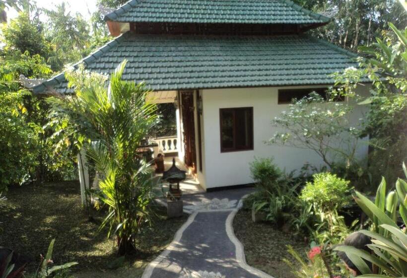 Pensionat White Lotus Oasis