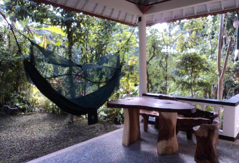 Pensionat White Lotus Oasis