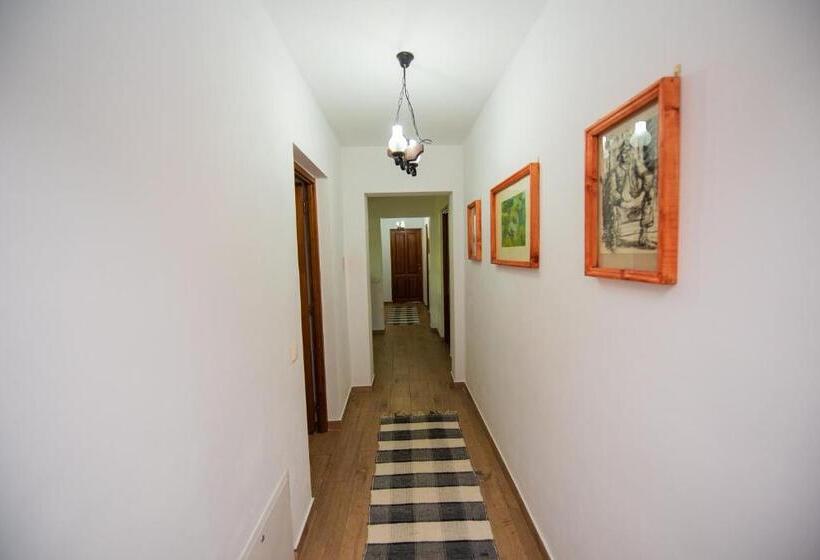 Pensiunea Agroturistica Raluca