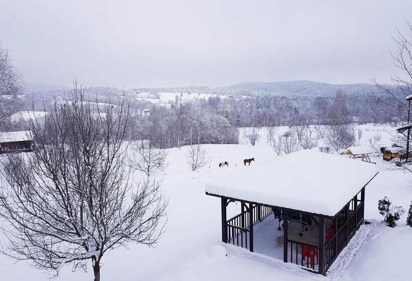 Pensiunea Gradina Mare