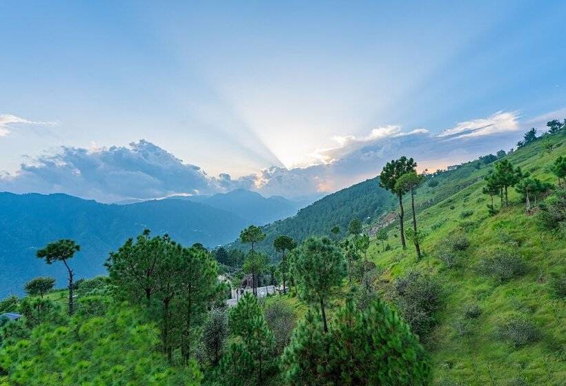 The Manor Luxury Apartments