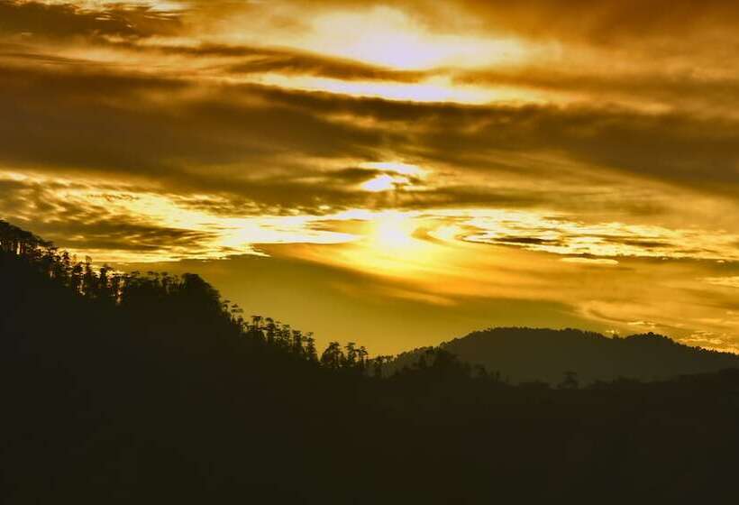 The Manor Luxury Apartments