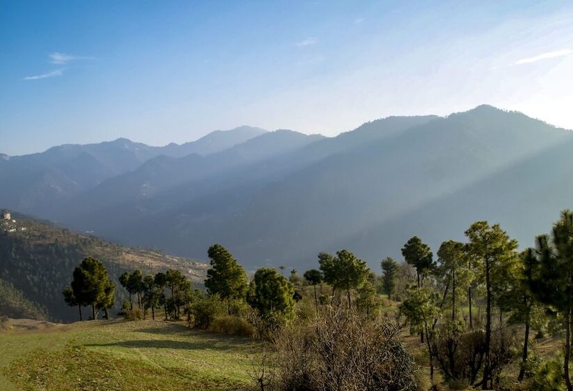 The Manor Luxury Apartments