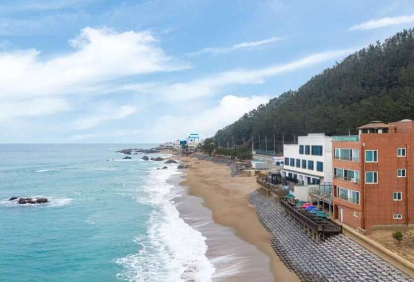 Yeongdeok Blue Ocean Tourist Pension