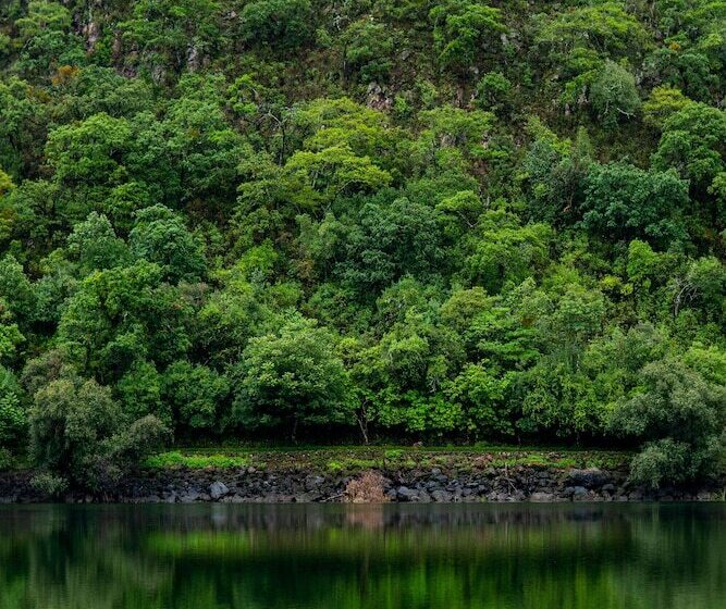בית מלון כפרי Sierra Lago