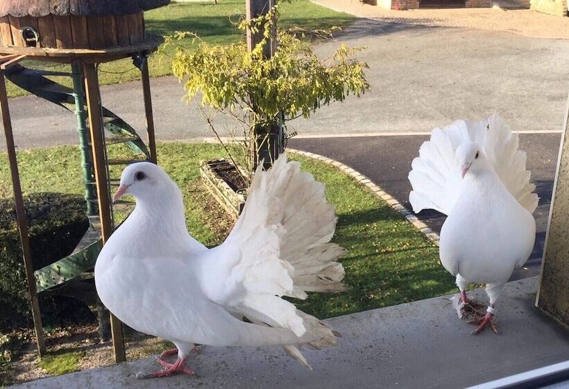 Отель Au Domaine Du Cerf