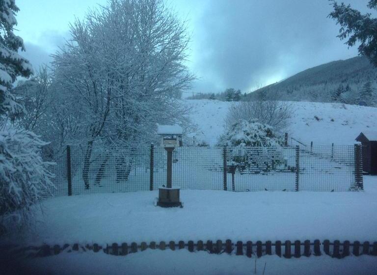 호텔 Clifton Cottage B&b