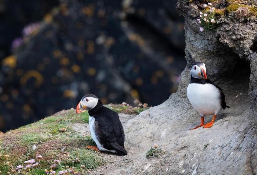 호텔 Clifton Cottage B&b