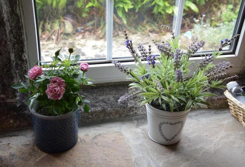 ホテル Sweetbriar Cottage Bed & Breakfast And Camping