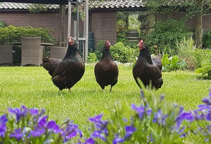 B&b De Loenense Bossen