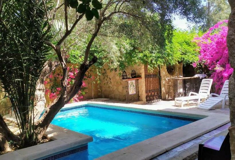 مبيت وإفطار Alojamientos La Casa De Piedra