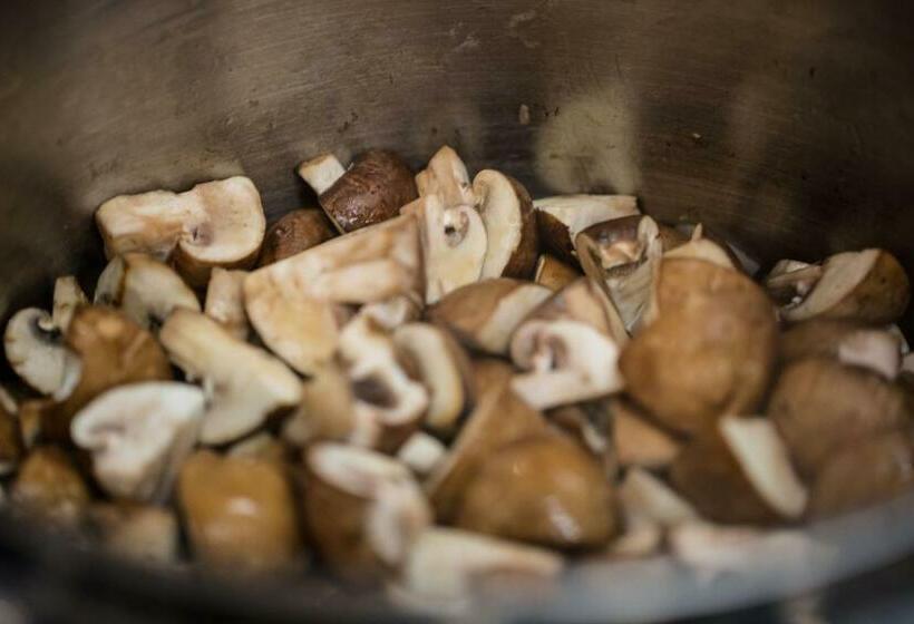 ベッドアンドブレックファースト K Kanne