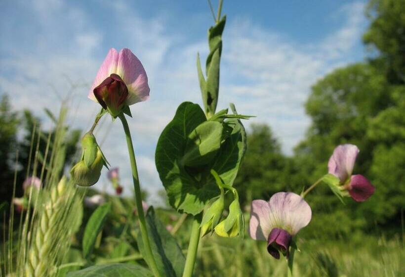 ベッドアンドブレックファースト Le Moulin Du Barthas
