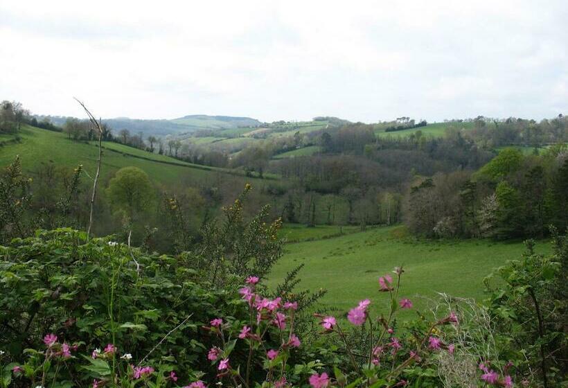 ベッドアンドブレックファースト Le Moulin Du Barthas