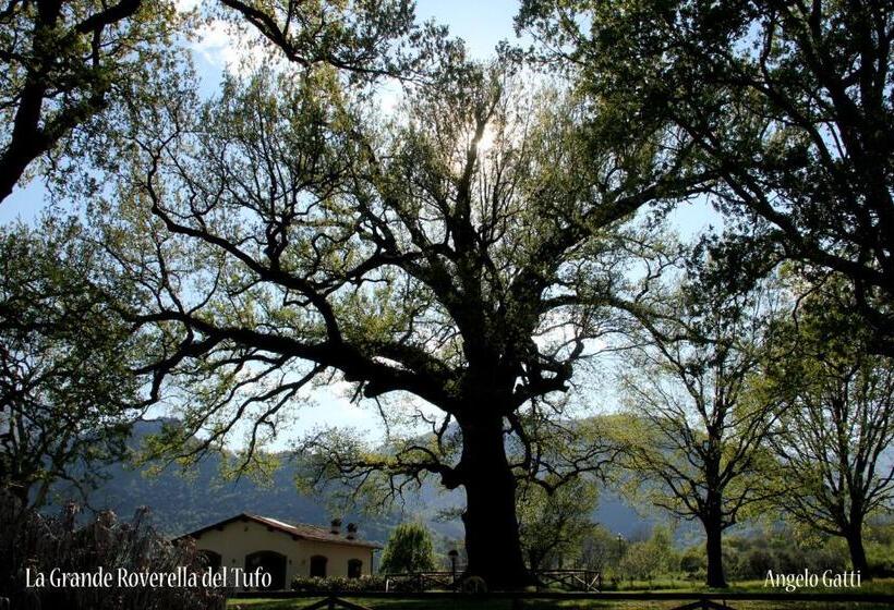 مبيت وإفطار Patricia Bed&breakfast