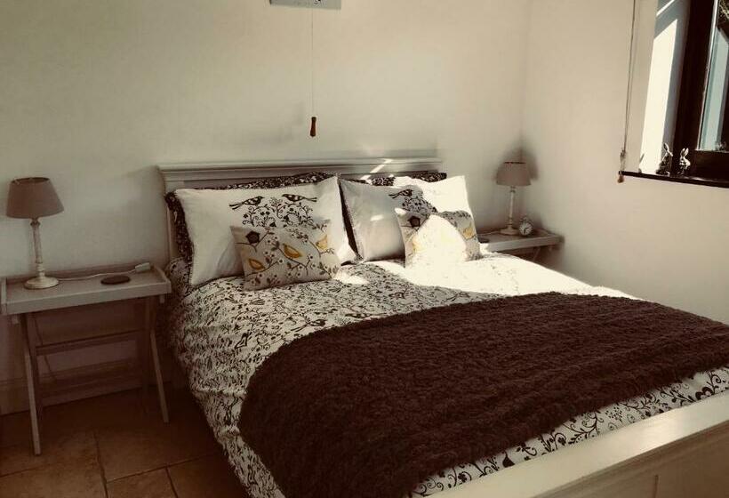 ベッドアンドブレックファースト The Cow Hide