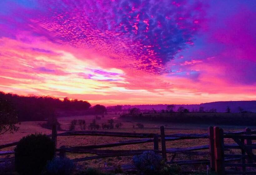 住宿加早餐  The Cow Hide