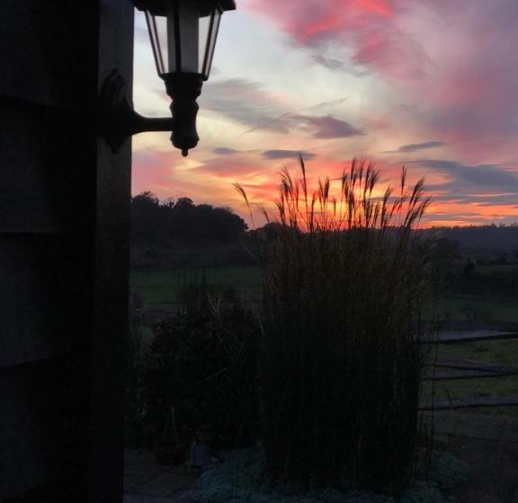 ベッドアンドブレックファースト The Cow Hide