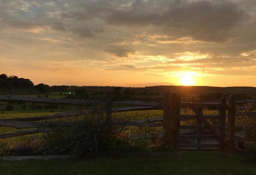 ベッドアンドブレックファースト The Cow Hide