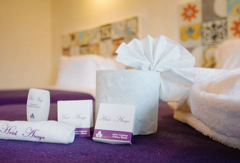 בית מלון כפרי Casa Anaya   Hostel