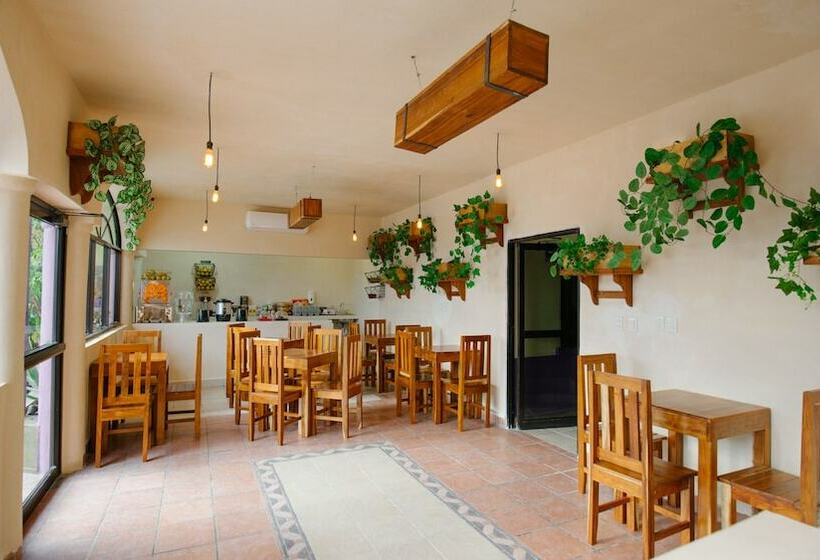 בית מלון כפרי Casa Anaya   Hostel