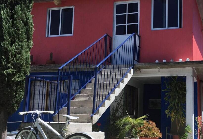 ホテル 400 Rabbits  Hostel