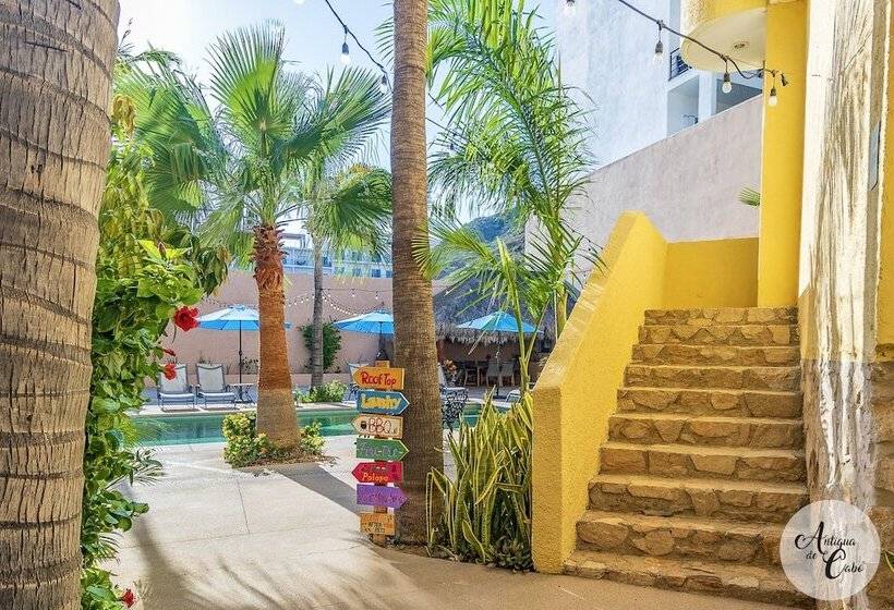 هتل Antigua De Cabo