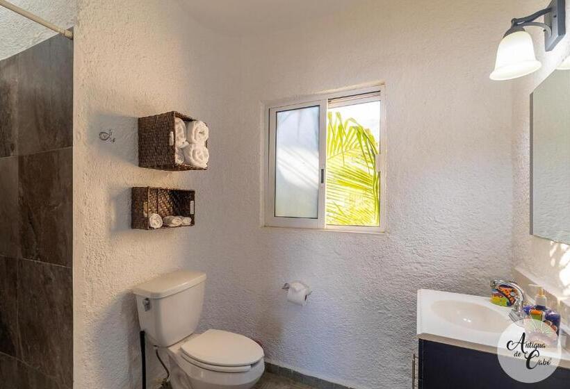 Отель Antigua De Cabo