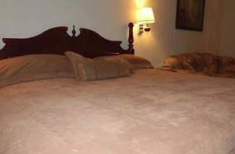 ホテル Autel Rio Inn Luxury Inns