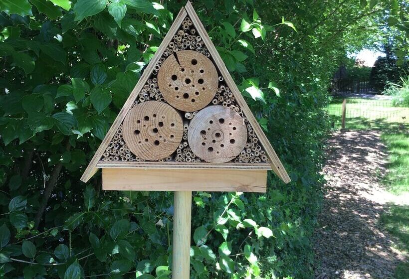 فندق Bildungszentrum Burgbühl