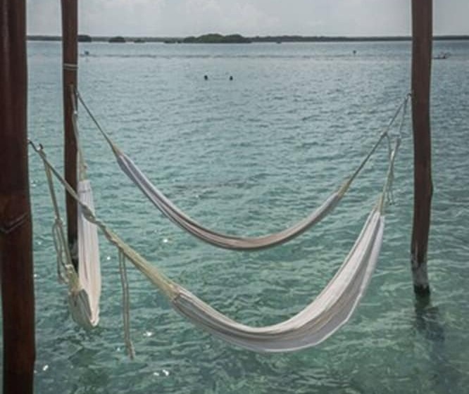 בית מלון כפרי Blue Bird