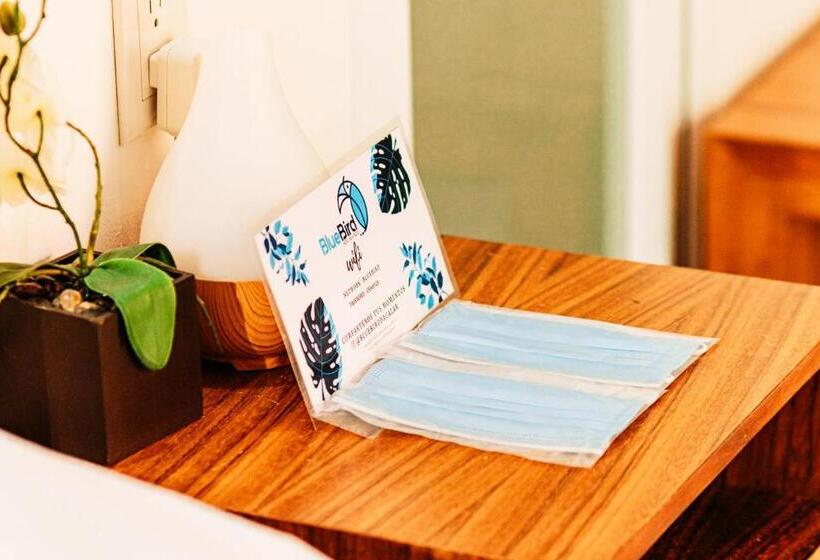 בית מלון כפרי Blue Bird