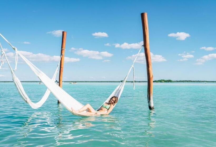 בית מלון כפרי Blue Bird