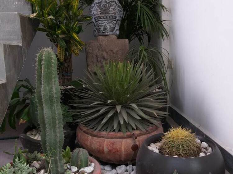 فندق Boutique Acocalli