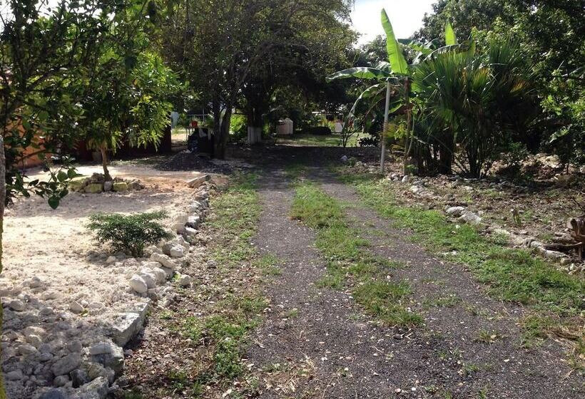 هتل Cabañas Chaac Calakmul