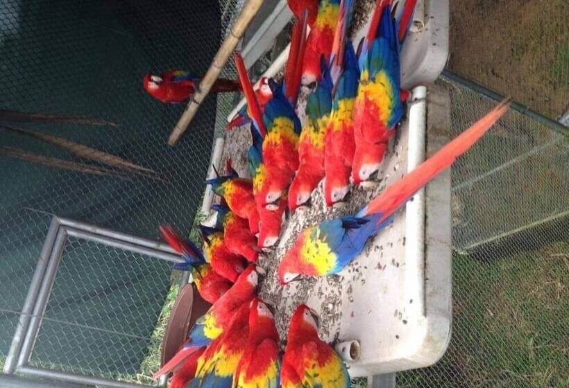 בית מלון כפרי Cabañas El Porvenir