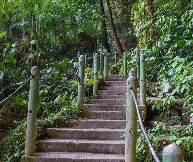 בית מלון כפרי Cabañas El Porvenir