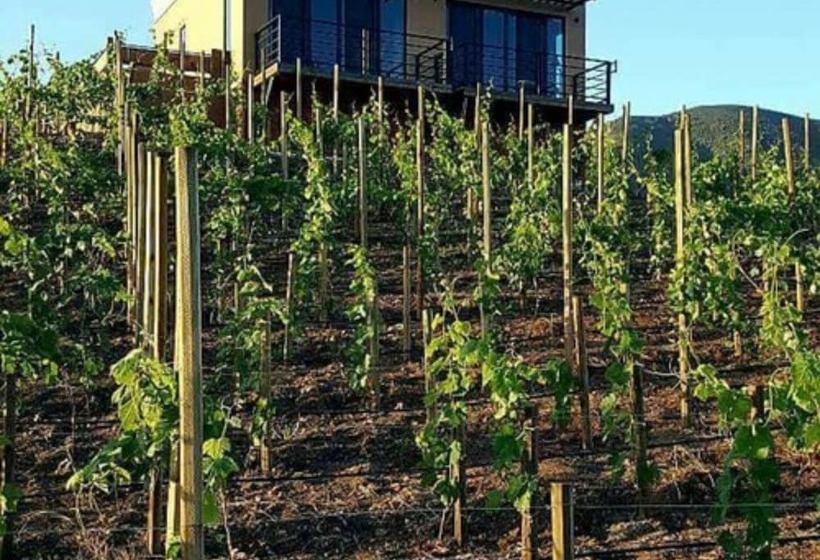 فندق Cabañas Rancho Palos Verdes