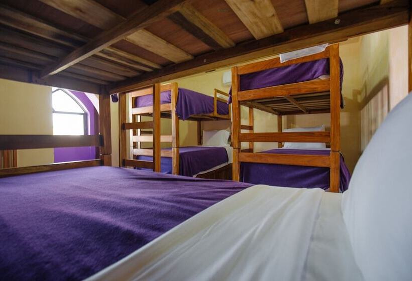 בית מלון כפרי Casa Anaya   Hostel