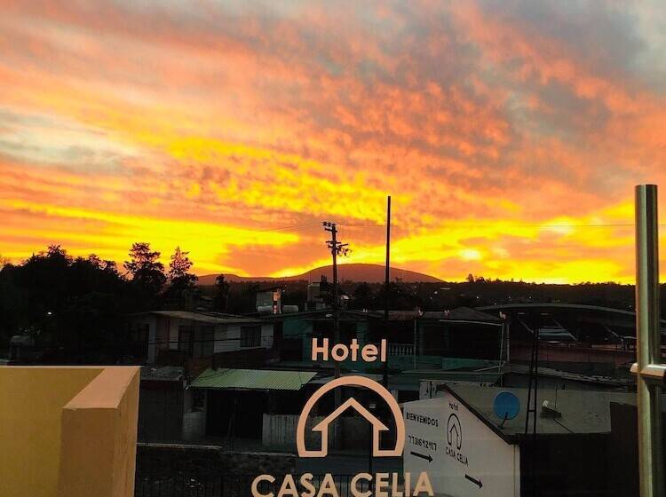 酒店 Casa Celia