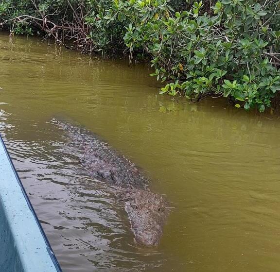 فندق Casa Ka An Rio