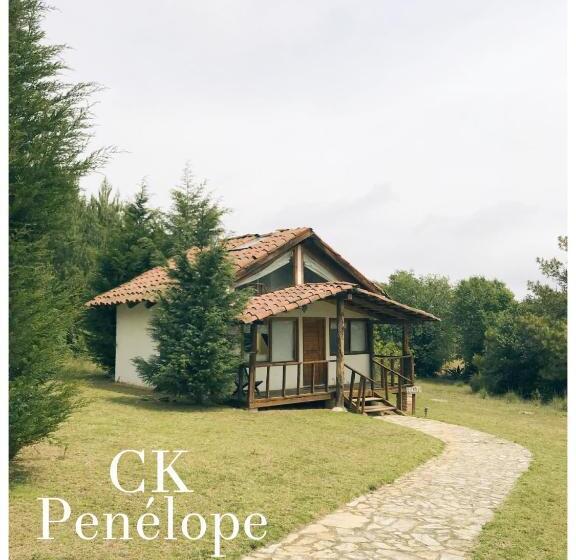 هتل Casa Kitsch