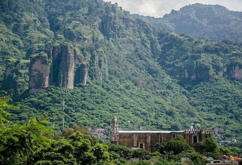 ホテル Casa Maximiliano