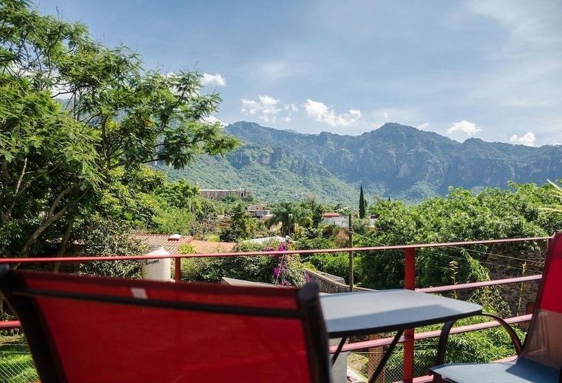 ホテル Casa Maximiliano