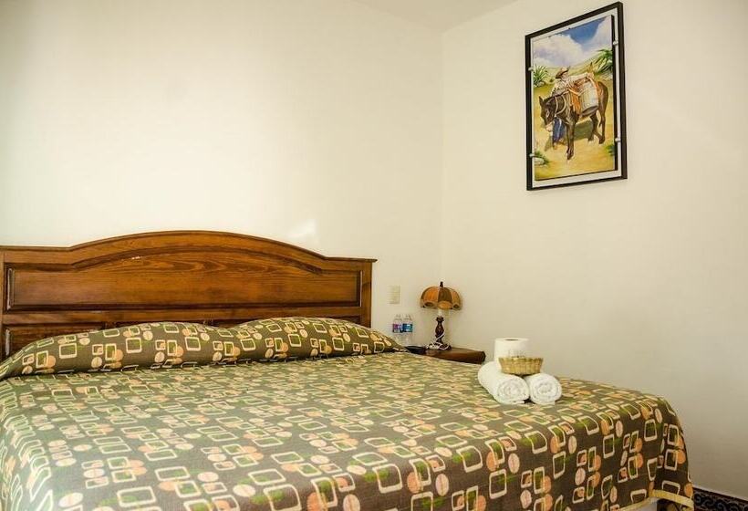 ホテル Casa Maximiliano