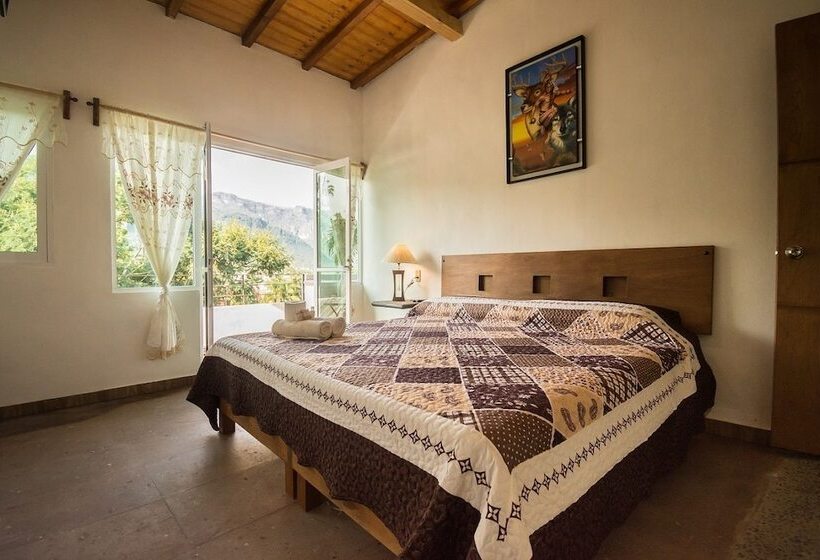 ホテル Casa Maximiliano