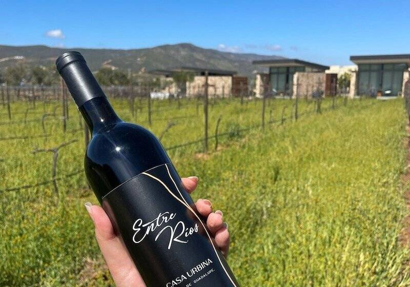 בית מלון כפרי Casa Urbina Wine Resort